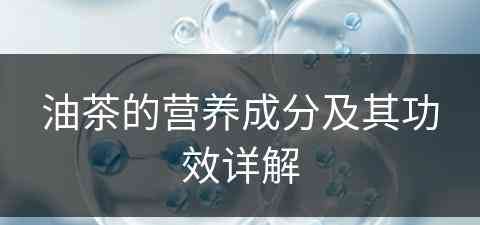 油茶的营养成分及其功效详解